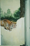Florida Bobcat mural